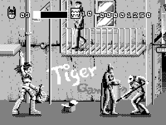 Batman & Robin (USA) (3).png